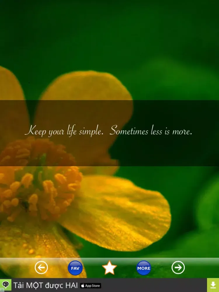 Life Tips - 2000+ Interesting Tips and Advice for a Happy Life iPad  Screenshots