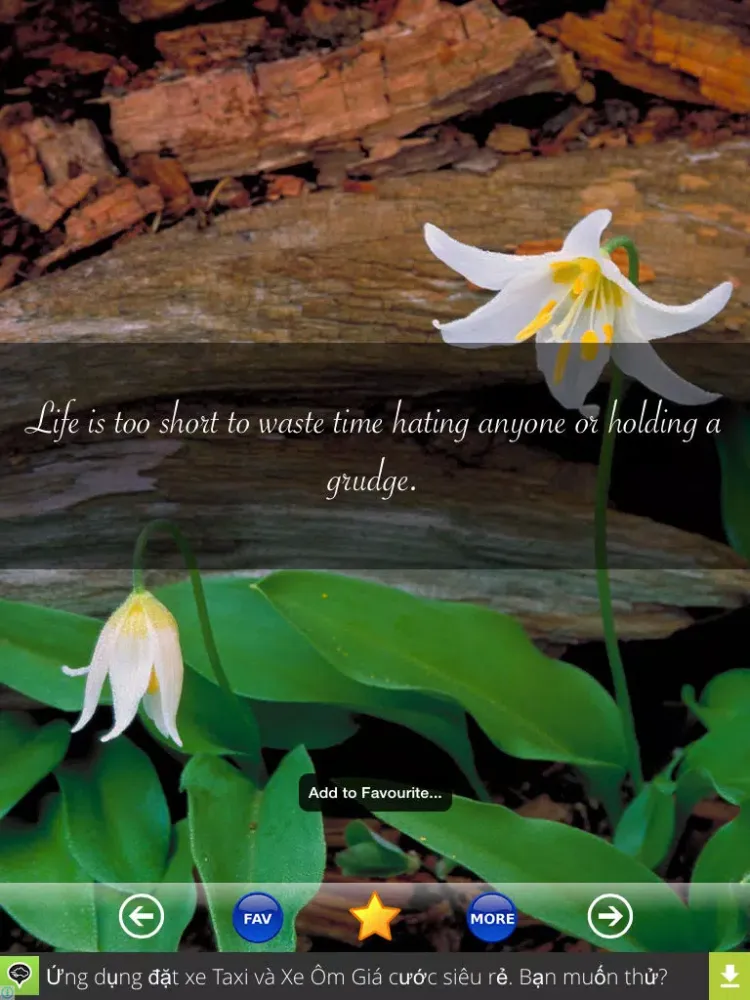 Life Tips - 2000+ Interesting Tips and Advice for a Happy Life iPad  Screenshots