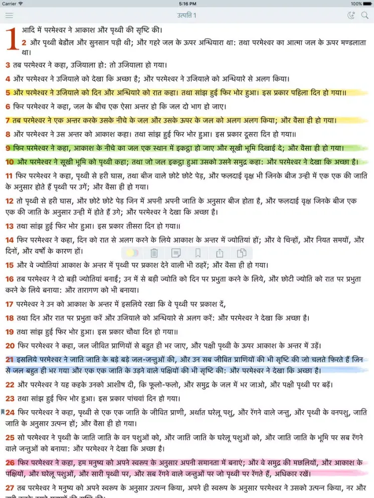 Hindi Bible (Indian Holy Bible) iPad  スクリーンショット