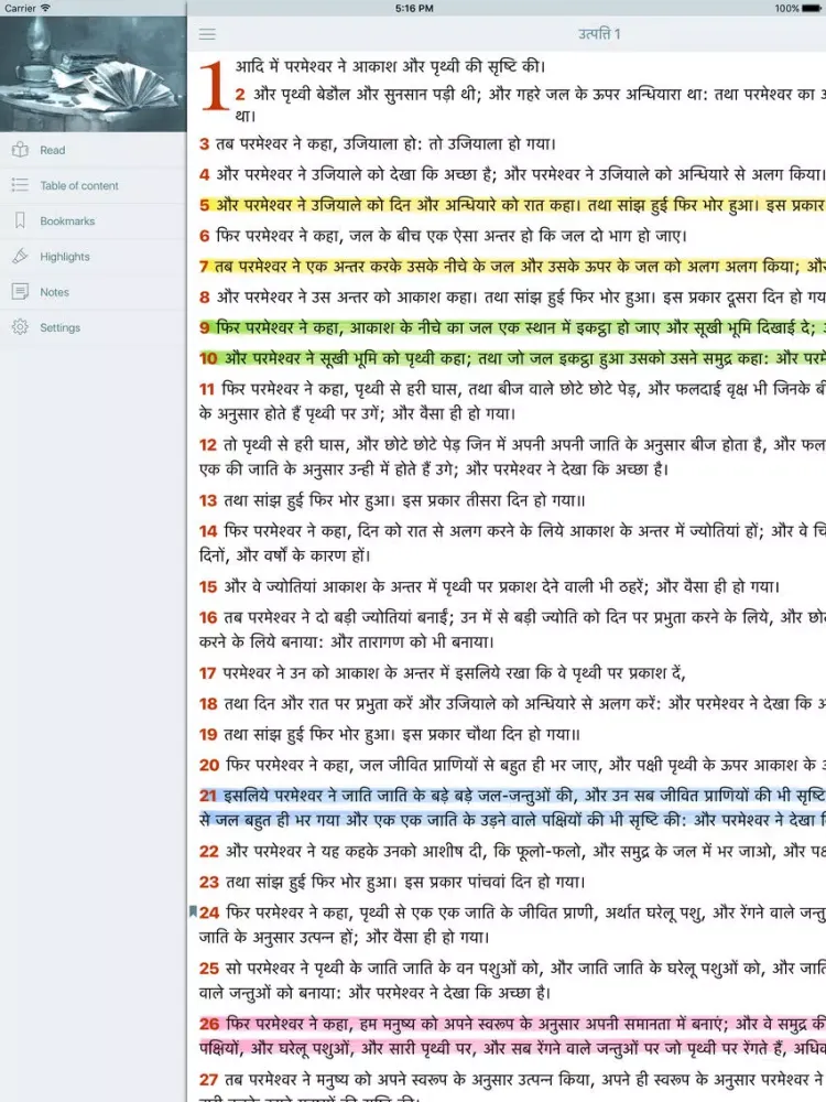 Hindi Bible (Indian Holy Bible) iPad  スクリーンショット