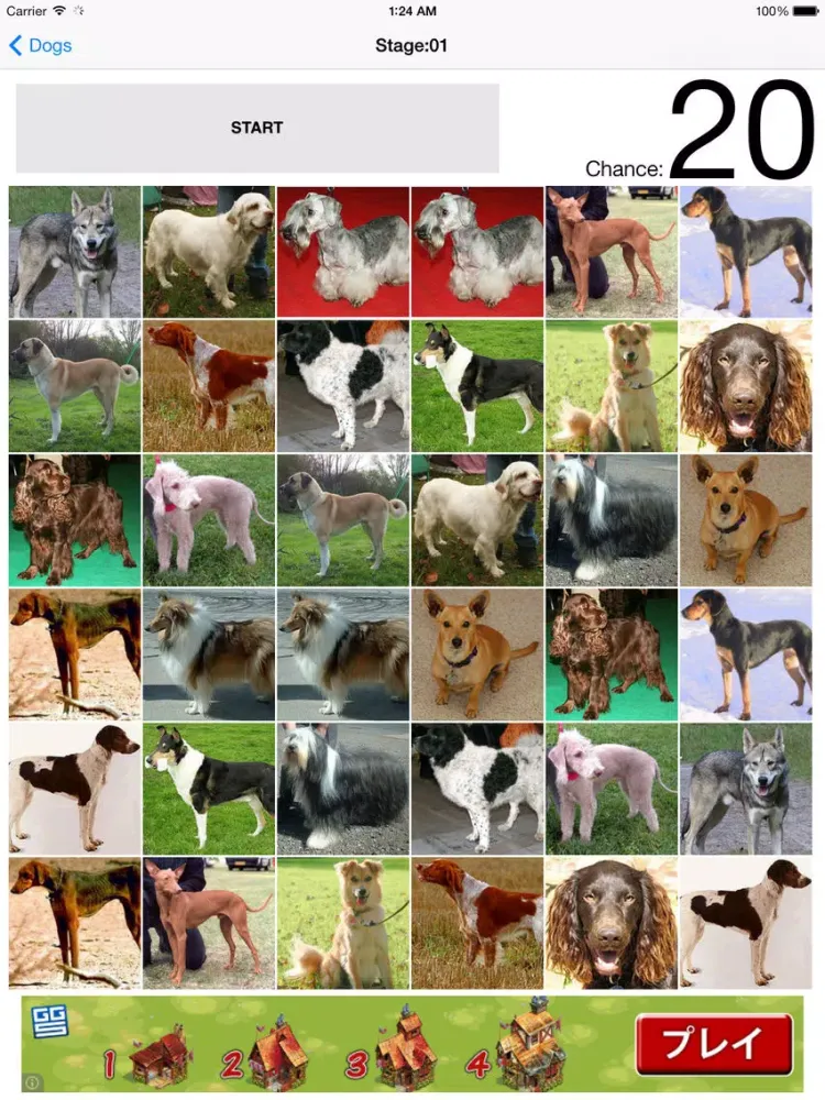 Ảnh chụp màn hình của AnimalQuiz-Dog,Cat,Bird,Fish,Dinosaur,Insects- iPad 