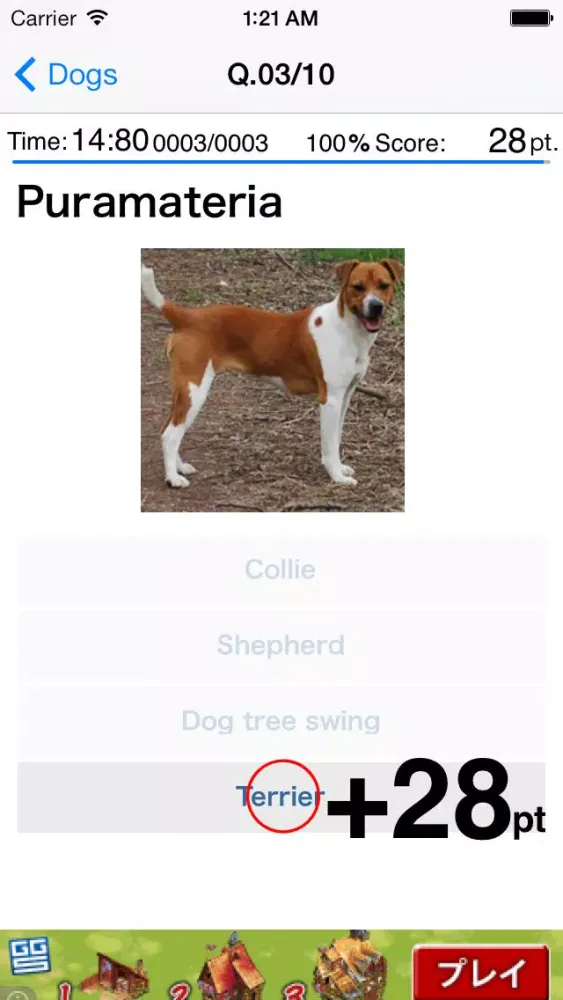Ảnh chụp màn hình của AnimalQuiz-Dog,Cat,Bird,Fish,Dinosaur,Insects-