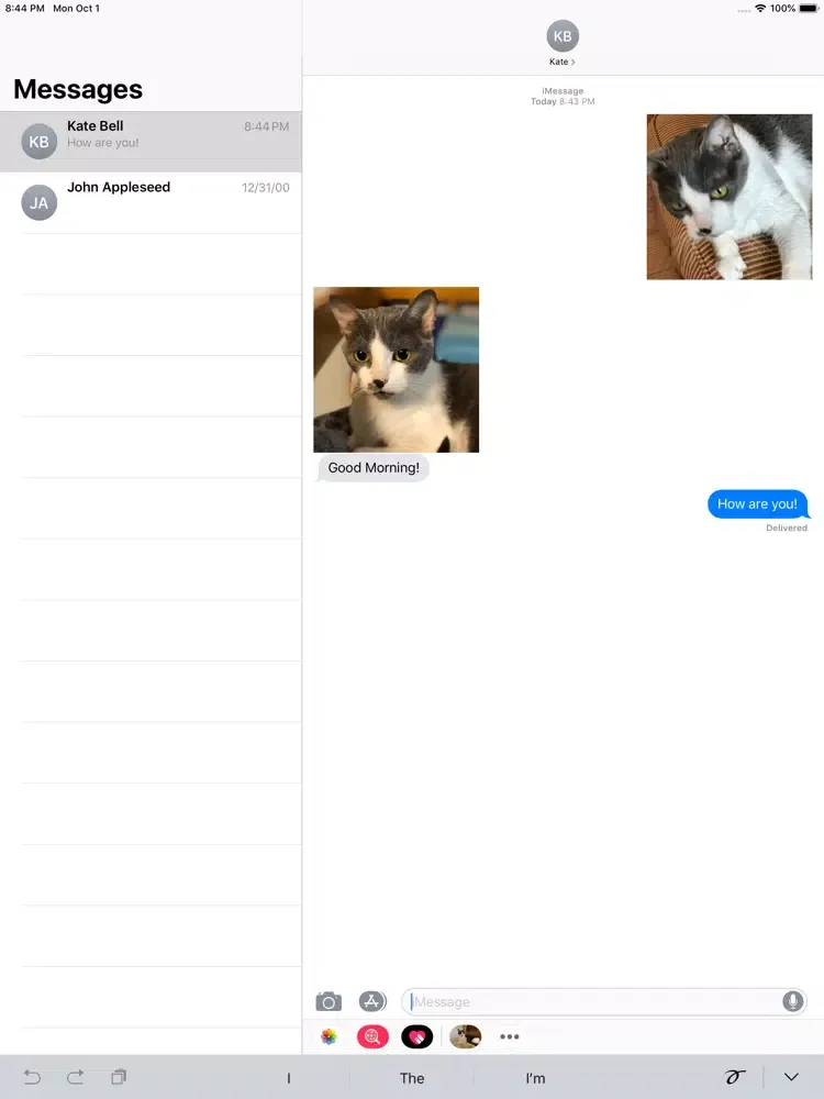 Zrzuty ekranu Junie the Cat iPad 