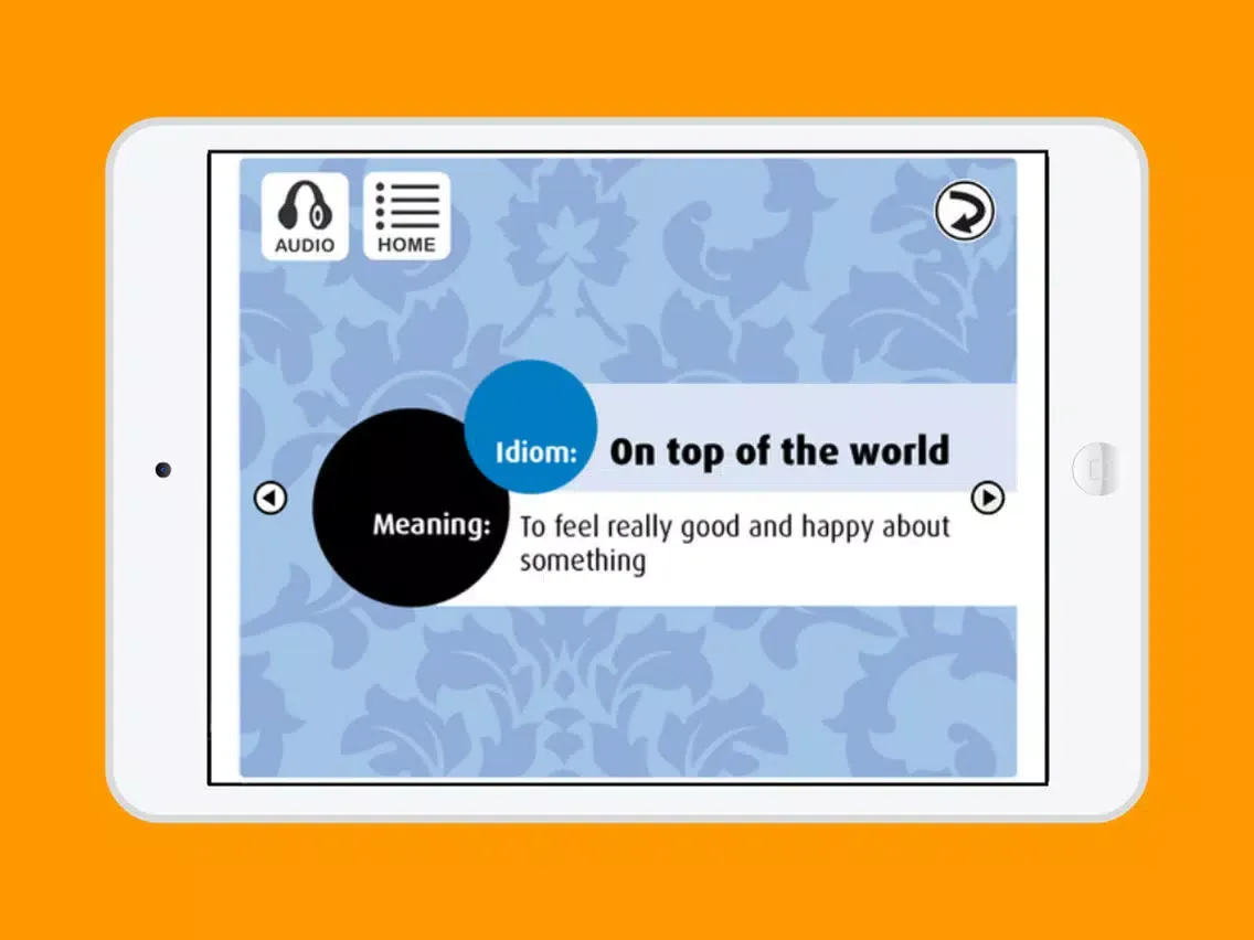 Скриншоты Idioms in Conversation I iPad 