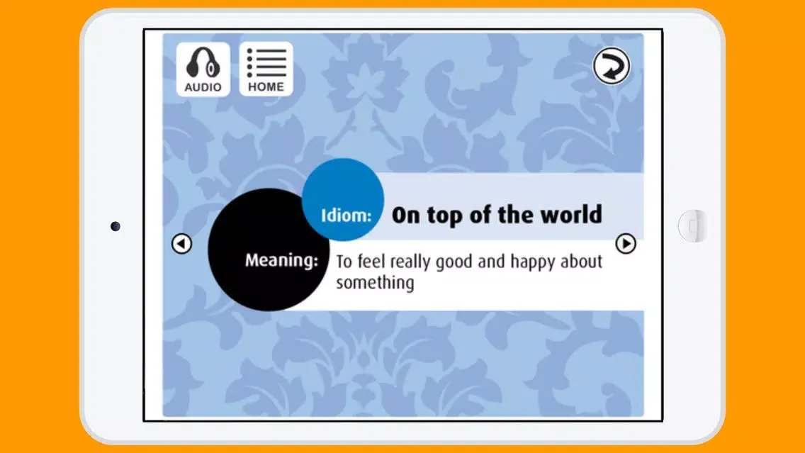 Скриншоты Idioms in Conversation I
