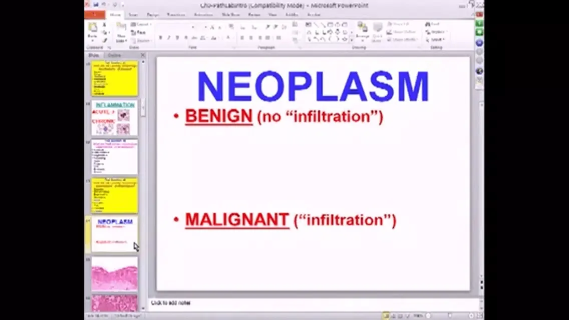 Ảnh chụp màn hình của PathoInstitute