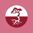 余仁生香港 Eu Yan Sang Hong Kong 余仁生香港 Eu Yan Sang Hong Kong