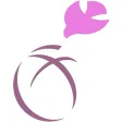 基督教粉嶺神召會小學 基督教粉嶺神召會小學