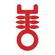 仁愛堂幼稚園教育服務 YOT KG