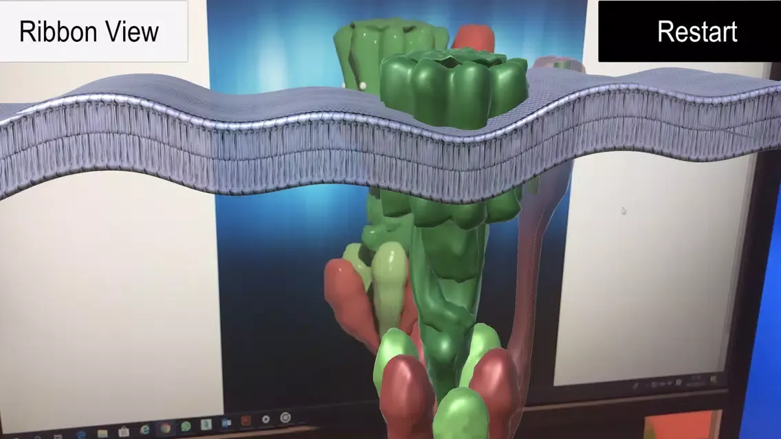 ATP Synthase [AR]应用截图