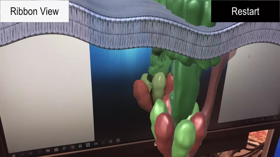 ATP Synthase [AR]应用截图