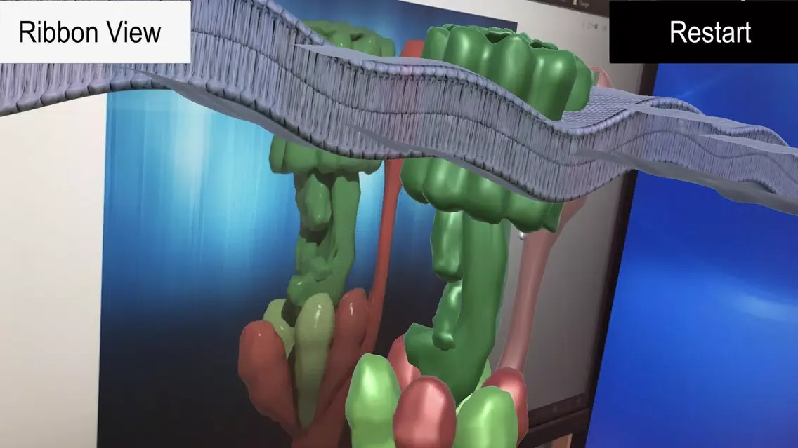 ATP Synthase [AR]应用截图