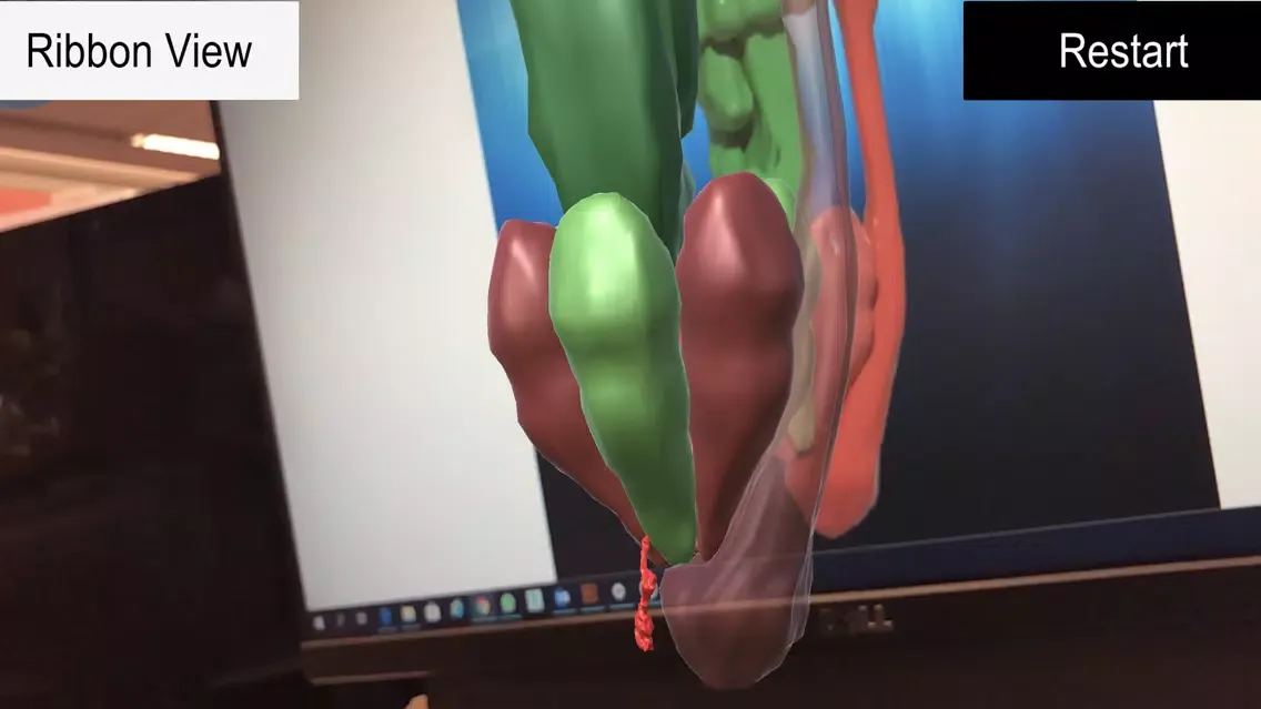 ATP Synthase [AR]应用截图