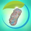 3D Plant Cell Organelles in VR