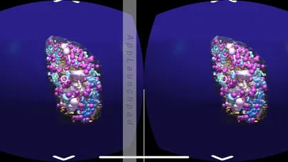 3D Plant Cell Organelles in VR স্ক্রিনশট