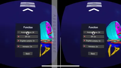3D Plant Cell Organelles in VR স্ক্রিনশট