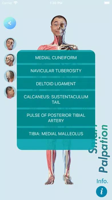 Capturas de pantalla de Smart MSK Tutor