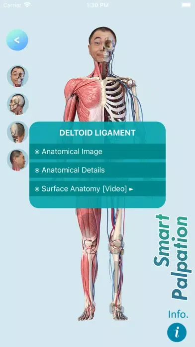 Capturas de tela do Smart MSK Tutor
