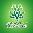HKU CEDARS