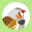 Finch for Twitter - Discover and curate photos Finch for Twitter - Discover and curate photos