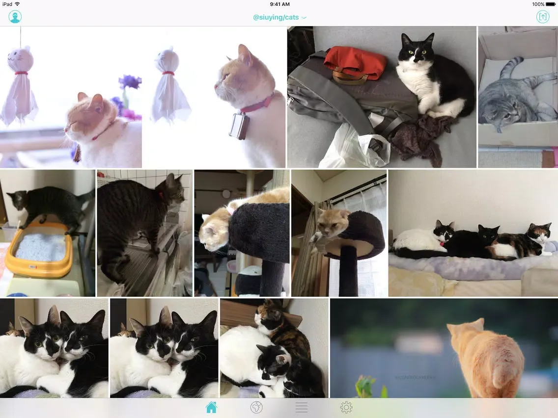 Capturas de pantalla de Finch for Twitter - Discover and curate photos iPad 