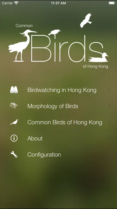 Ảnh chụp màn hình của HKcBirds: Common Birds of HK