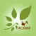 New Life City Church app