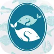 WWF-HK Seafood Guide 海鮮選擇指引 WWF-HK Seafood Guide 海鮮選擇指引