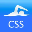 CSS Calculator Pro