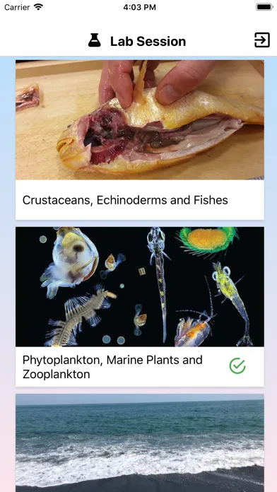 صور Marine Biology (HKUST)