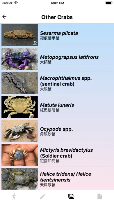 صور Marine Biology (HKUST)