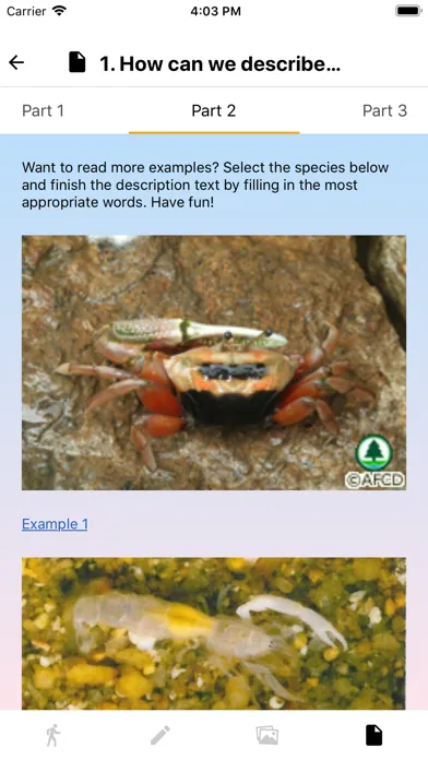 صور Marine Biology (HKUST)