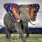 Strange Animals Sticker