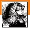 No.7 Pictures Nonogram/Picross