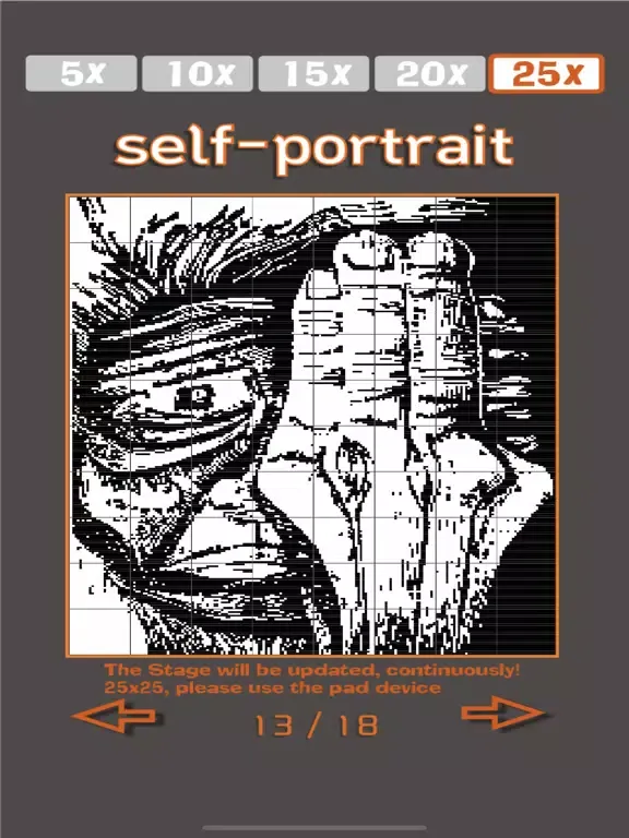 No.12 그림 네모네모(노노그램,피크로스) iPad  Ekran Görüntüleri