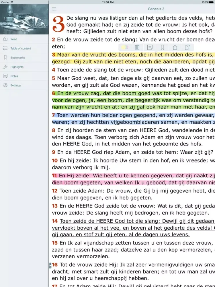De Bijbel (Audio Holy Bible in Dutch Offline Free) iPad 应用截图