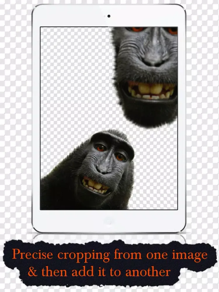 Cut and Paste - Copy part of one image and place it into another one of your photos iPad Screenshots