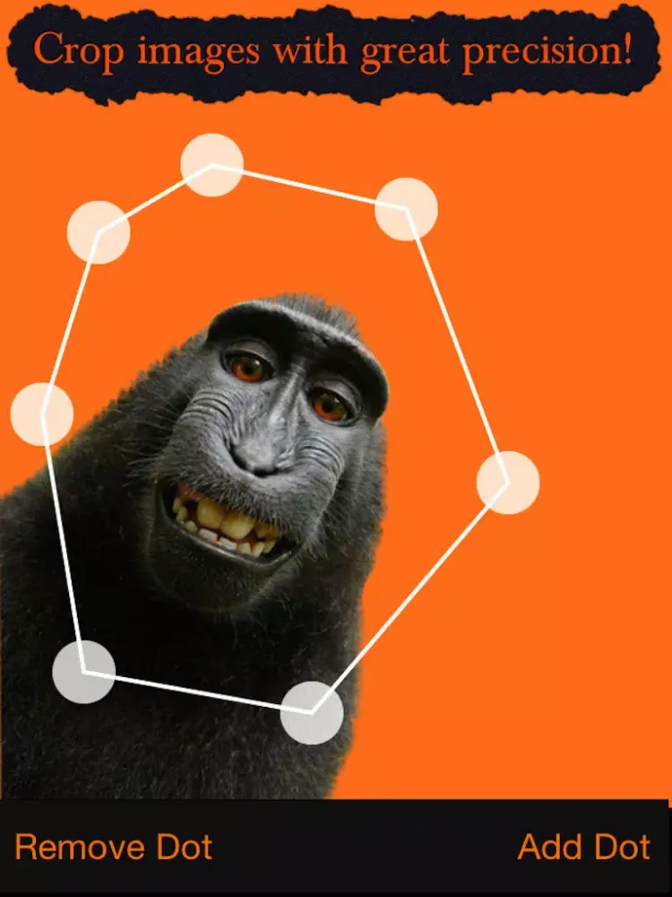 Cut and Paste - Copy part of one image and place it into another one of your photos iPad Screenshots