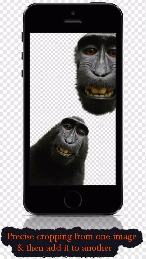 Cut and Paste - Copy part of one image and place it into another one of your photos Screenshots