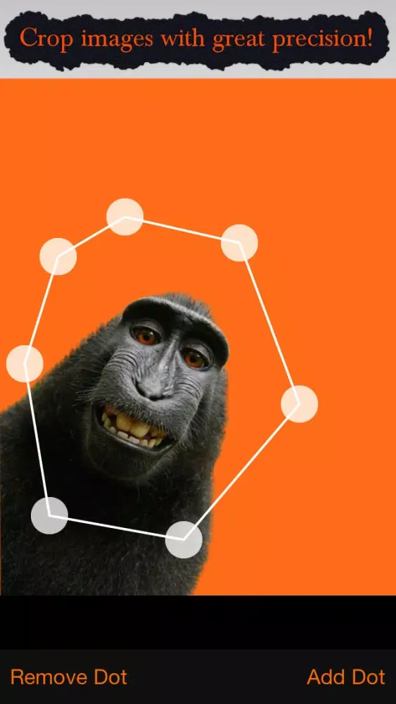 Cut and Paste - Copy part of one image and place it into another one of your photos Screenshots