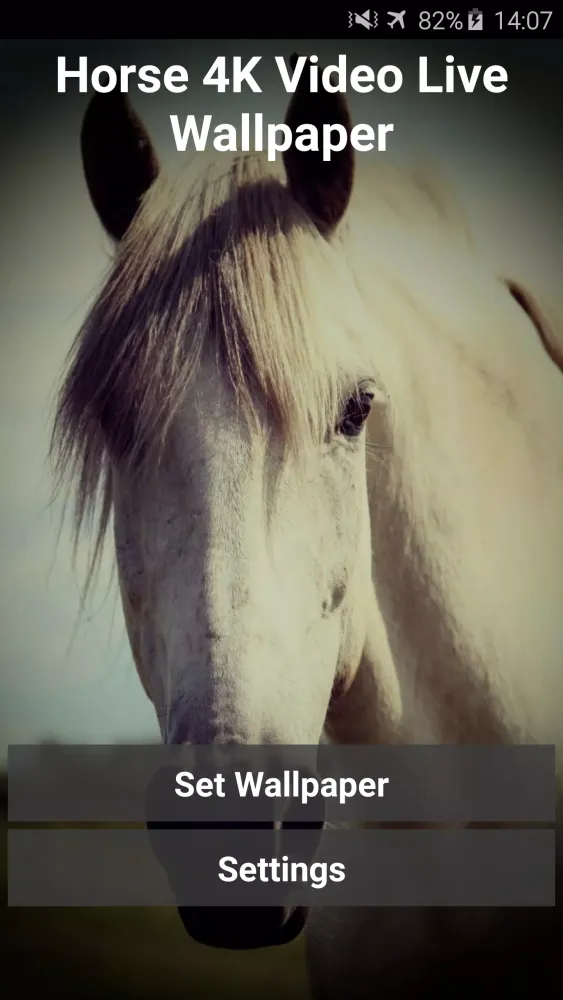 صور Horse 4K Video Live Wallpaper