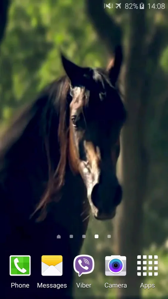 صور Horse 4K Video Live Wallpaper