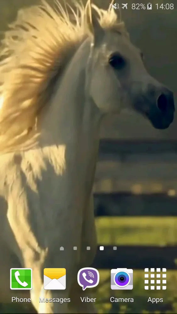 صور Horse 4K Video Live Wallpaper