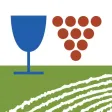 Algarve Wines