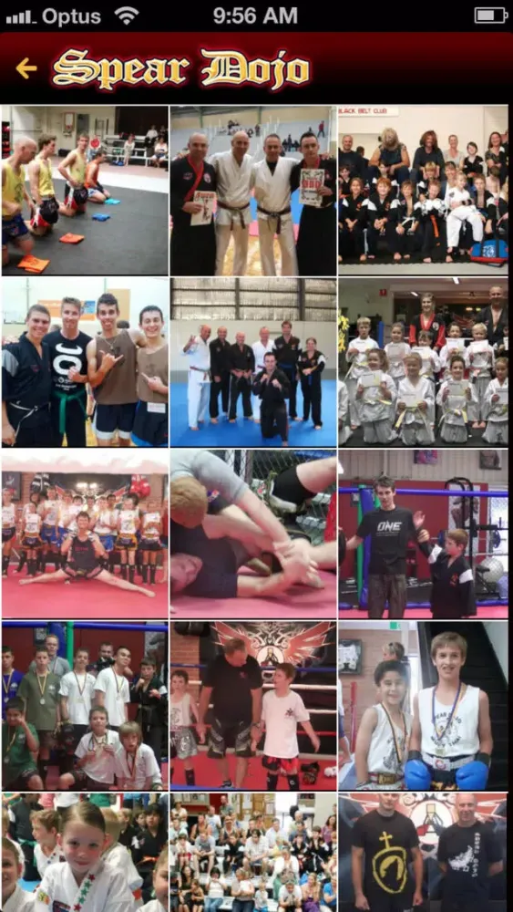 Скриншоты Spear Dojo