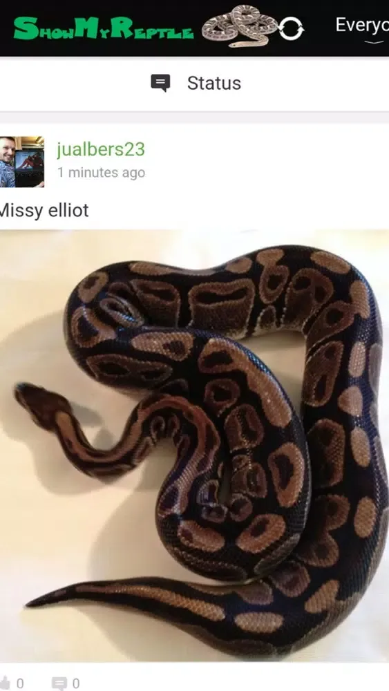 Show My Reptile স্ক্রিনশট