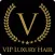 VIP Luxury Brands