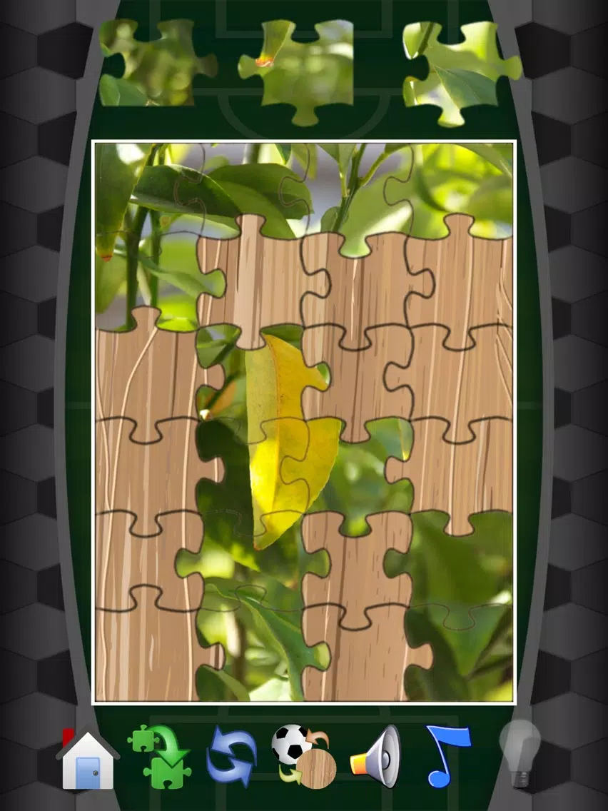 Puzzle Rusija 2018 iPad  স্ক্রিনশট