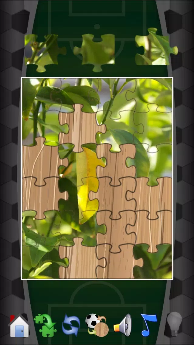 Puzzle Rusija 2018 স্ক্রিনশট