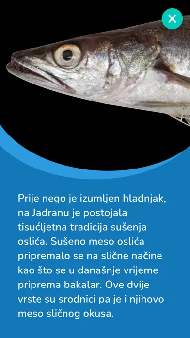 FISHERMAN FRIEND Ekran Görüntüleri